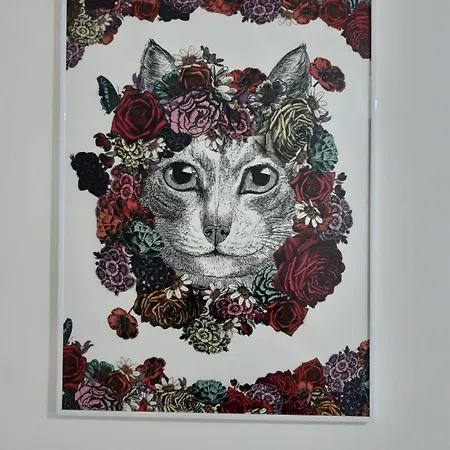 A Casa Di Dodo 2* Барі